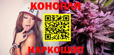 jwh Гатчина
