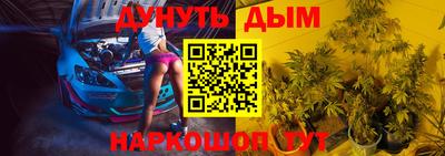jwh Гатчина