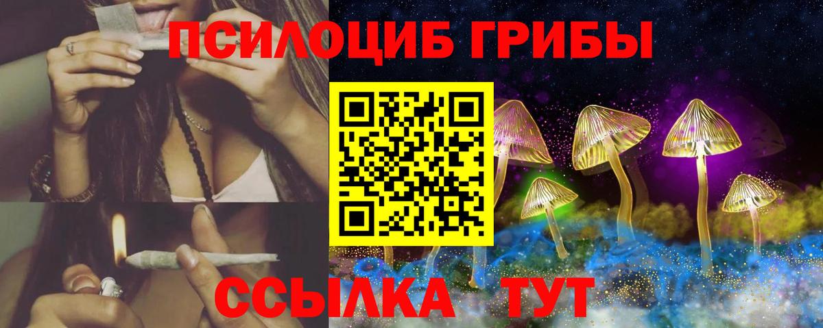 Мурино  Псилоцибиновые грибы Cubensis  Вход с VPN  Галлюциногенные грибы мухоморы 